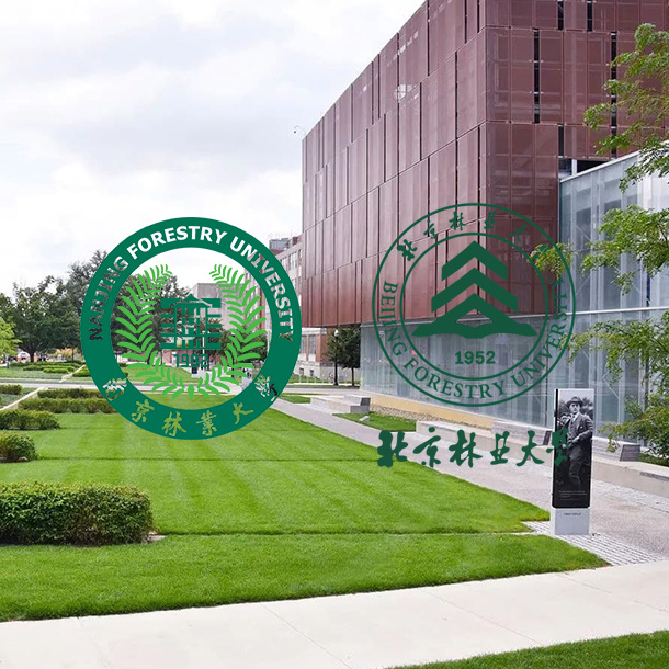 Anhui Guanming Hiasan Bahan Co., Ltd